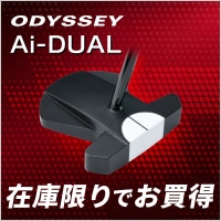 オデッセイのAi-DUALパターが特別価格