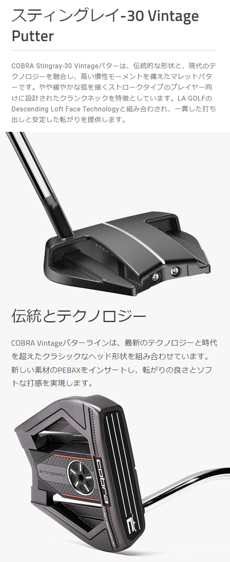 VINTAGE スティングレイ30 パター(パター（単品）)|cobra(コブラ)の