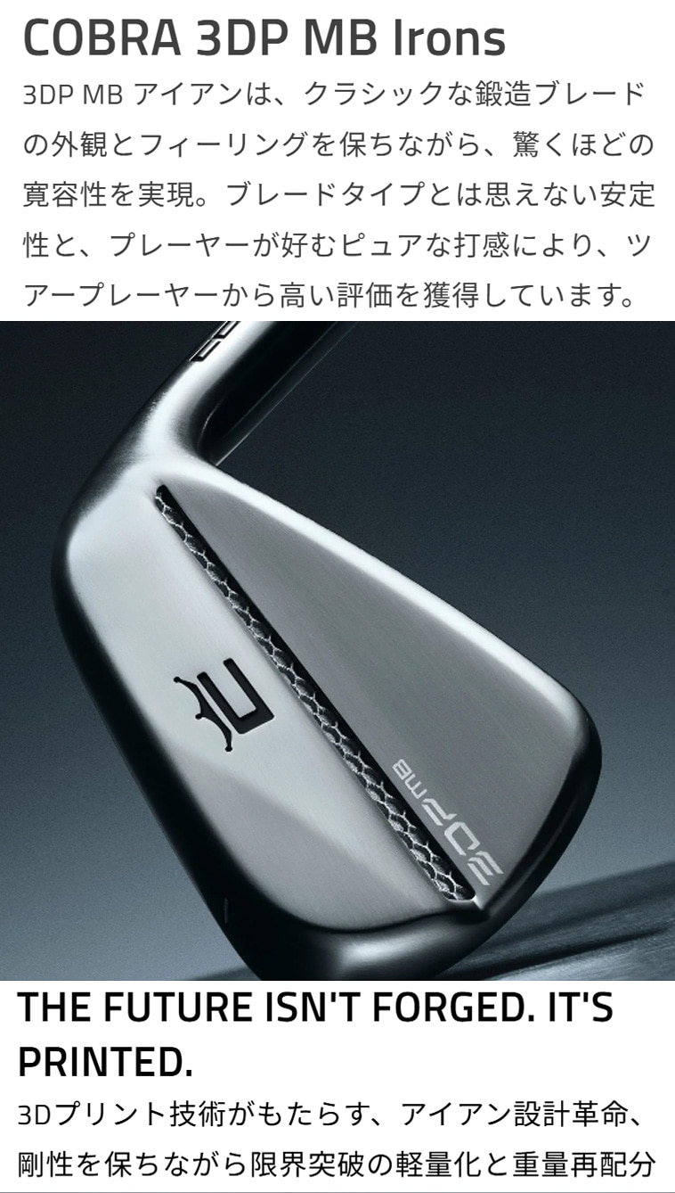 3DP MB アイアン(6本セット) ダイナミックゴールド MID 115(アイアン
