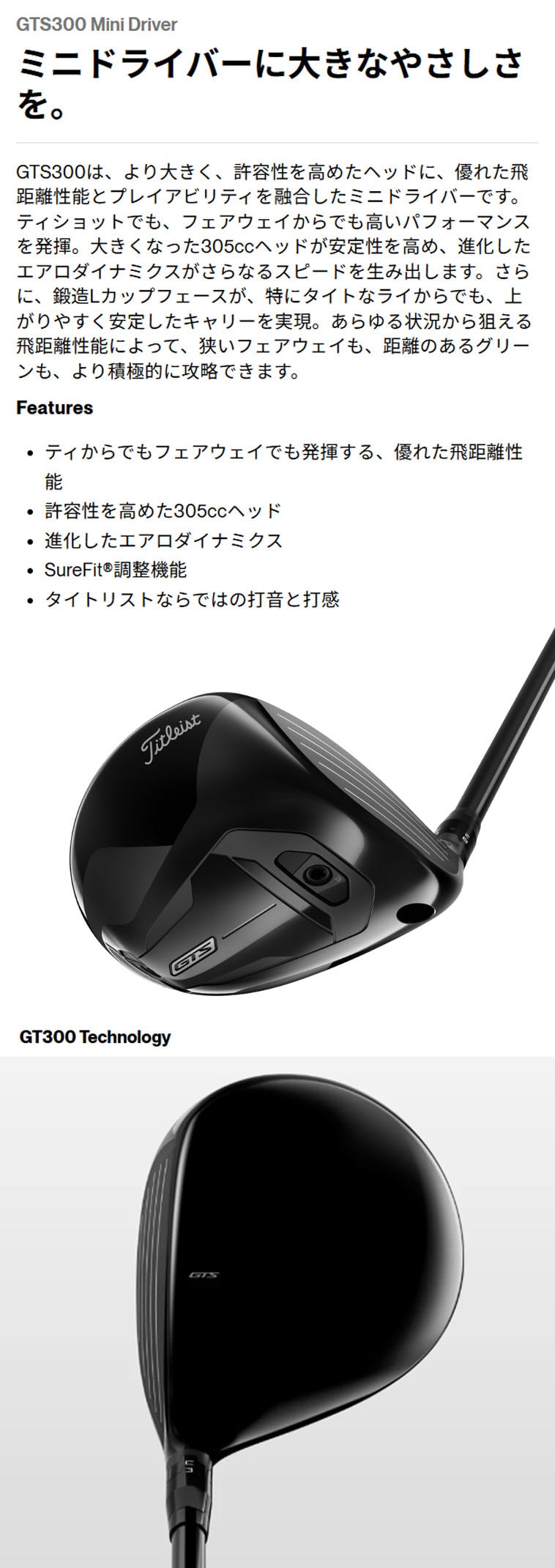 GTS300 ミニドライバー TENSEI White 1K 65 RIP(ドライバー（単品